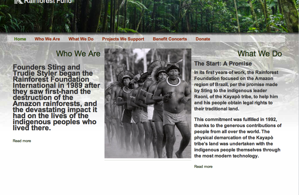 Rainforest Foundation